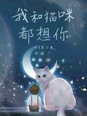 我和猫咪都想你